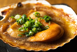 料理